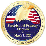 March 3, 2020 Election Pin